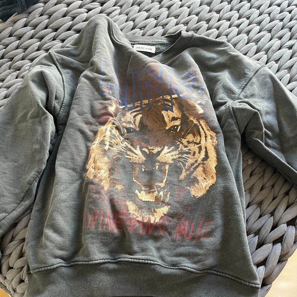 Anine Bing Sweatshirt- Size Small! Great Condition